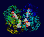 hemoglobinopatia