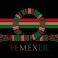 cropped-emblema-FEMEXER.jpg