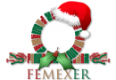 emblema-femexer_fondoblanco-navidad-2016_1600x250