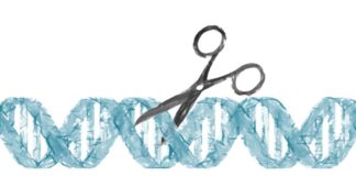 ensayo clínico, pacientes, tecnología CRISPR, genoma