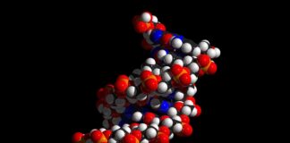 angioedema hereditario