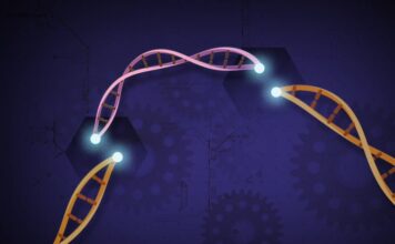 distrofia muscular facioescapulohumeral, genoma CRISPR