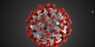 coronavirus, covid-19, estrategias terapéuticas