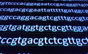 gen ATXN2 , enfermedades neurodegenerativas raras