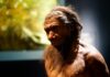 El papel de la herencia neandertal en la respuesta a COVID-19