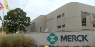 Welireg de Merck se convierte en el primer fármaco para los tumores de von Hippel-Lindau raros en EE.UU.