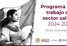 Programa de trabajo 2024-2030 de la Secretaría de Salud del Gobierno de México.