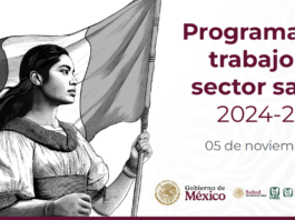 Programa de trabajo 2024-2030 de la Secretaría de Salud del Gobierno de México.