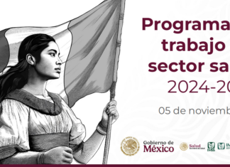 Programa de trabajo 2024-2030 de la Secretaría de Salud del Gobierno de México.