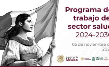 Programa de trabajo 2024-2030 de la Secretaría de Salud del Gobierno de México.